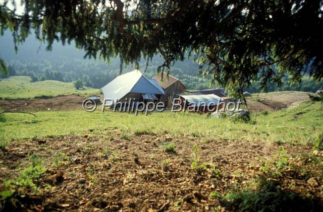 tomme de savoie 01.JPG - FermeAlpageMassif des BaugesSavoieFrance